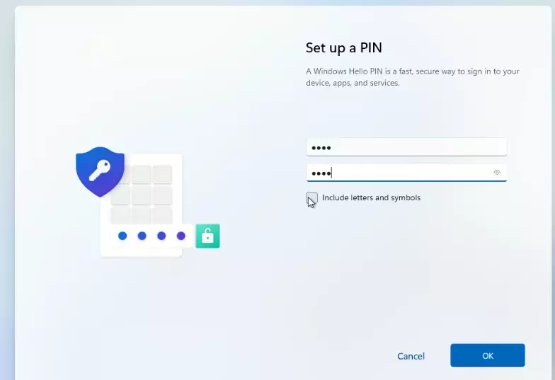 Install Windows 11 setup pin code