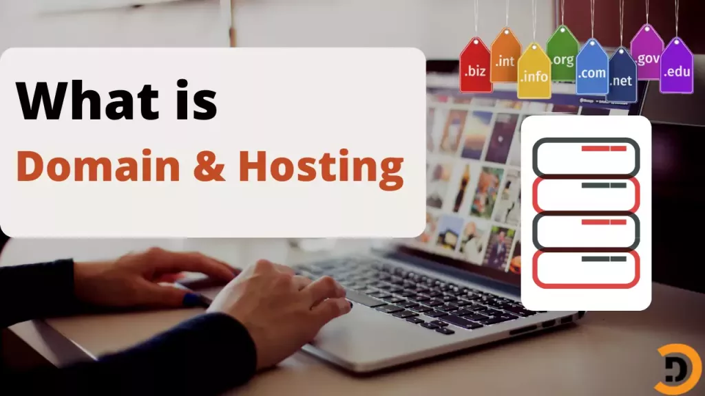 What is hosting and domain